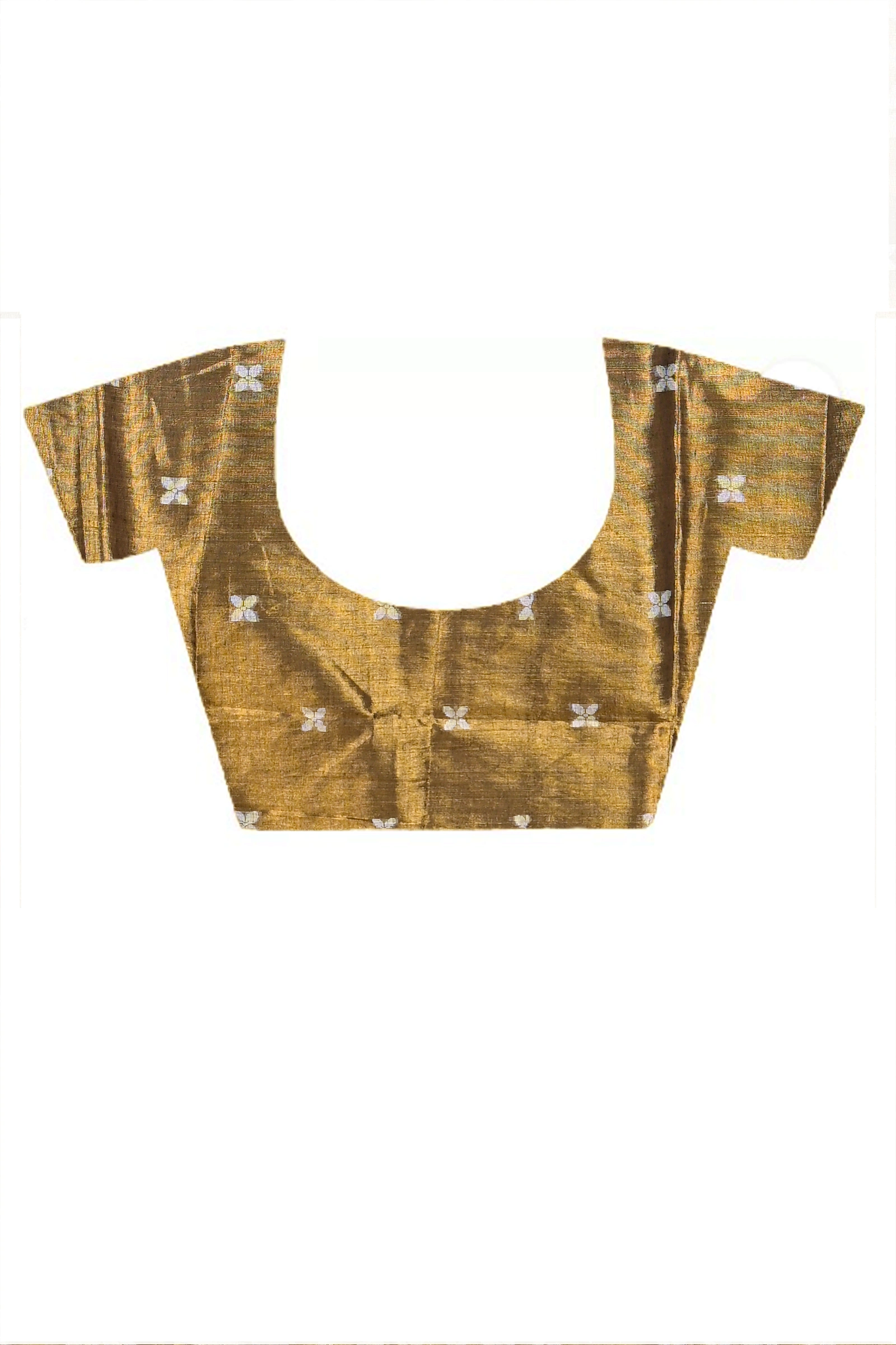 Brown Cotton Silk Parashar Tissue Jamdani Saree (292)
